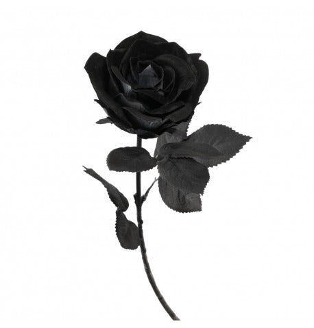 ჰელოუინის დეკორაცია შავი ვარდი დელუქსი 66სმ