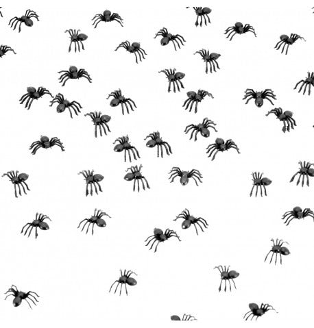 შავი ობობების ნაკრები 80ც 1.5CM X 2.3CM