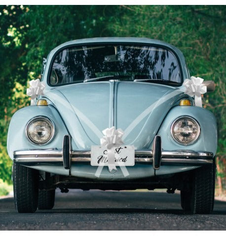 Wedding car bow 5 pcs of different colors
