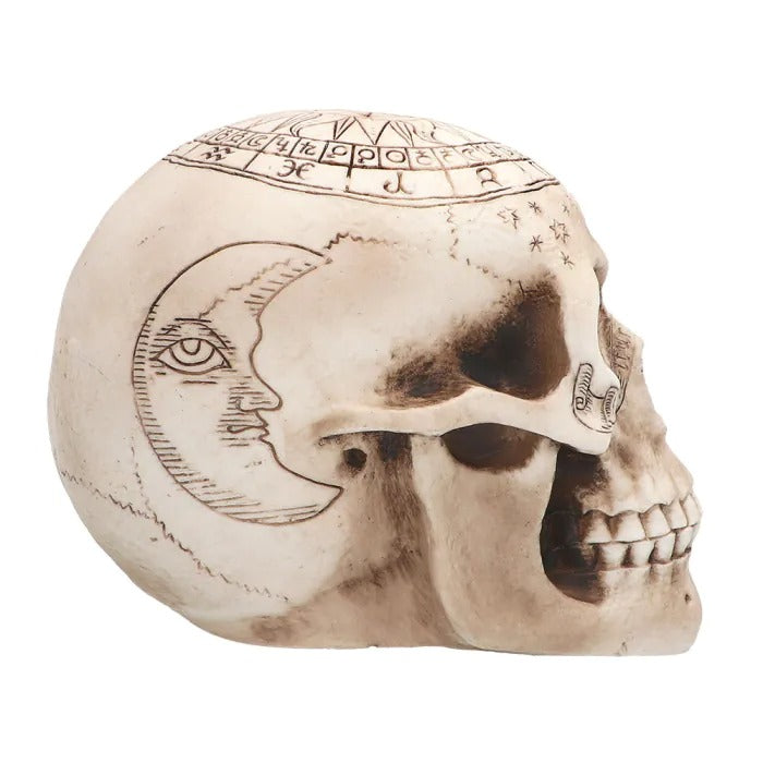 Skull Astronomy 14 x 20 x 14 cm