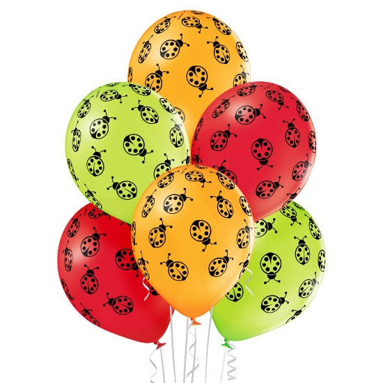 Bouquet of balloons with chia seeds 6 pcs