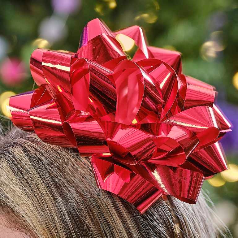 აბადოკი Christmas Bow