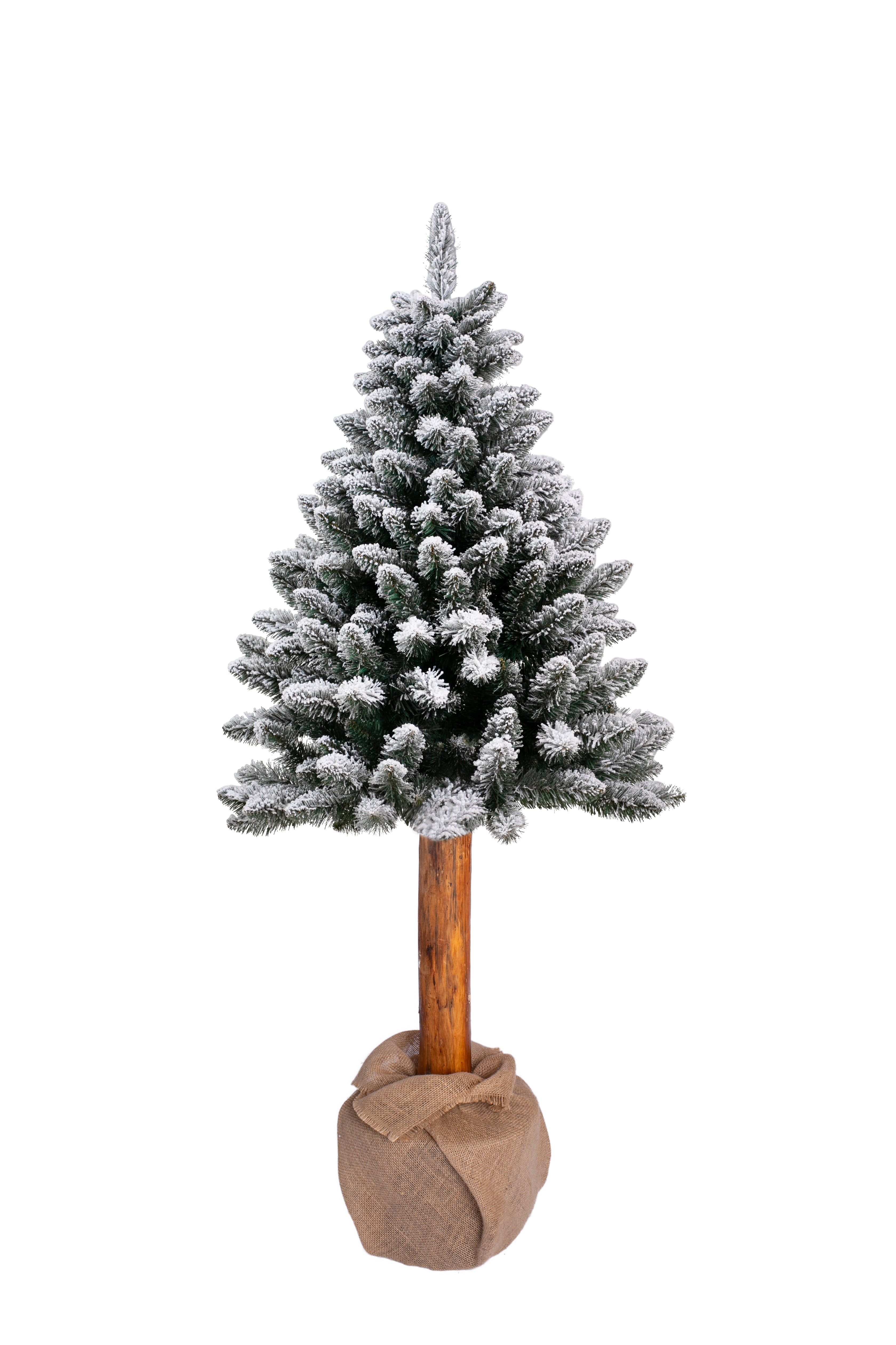 ნაძვის ხე Pinus snow 140 სმ