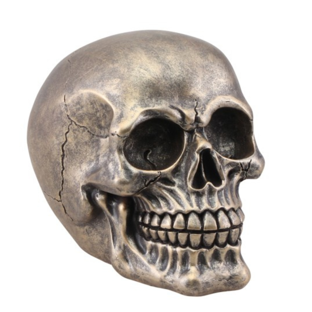 თავის ქალა პოლირეზინის ბრონზე 11CM X 15CM X 12CM