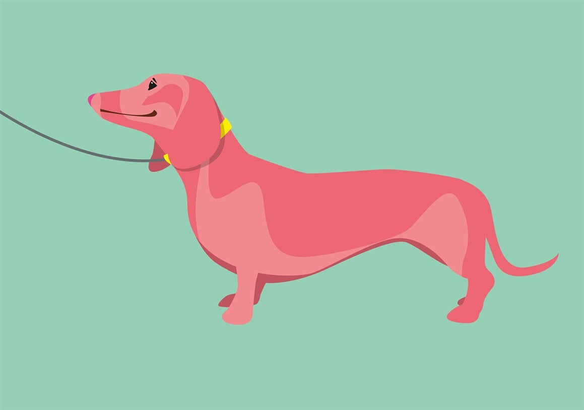 მისალოცი ბარათი ვარდისფერი დაჩშუნდი