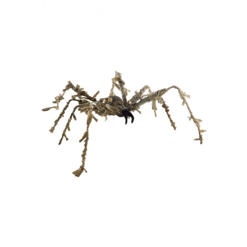 Decoration mummy spider