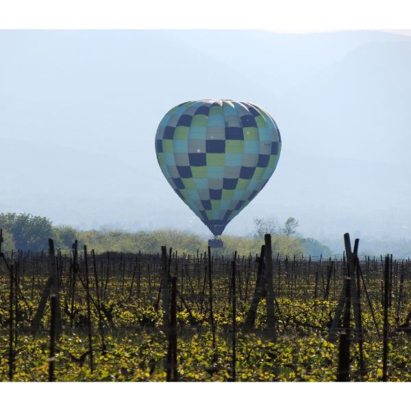 A shared airship adventure