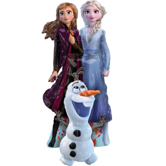 ეარვოკერი  Frozen 2