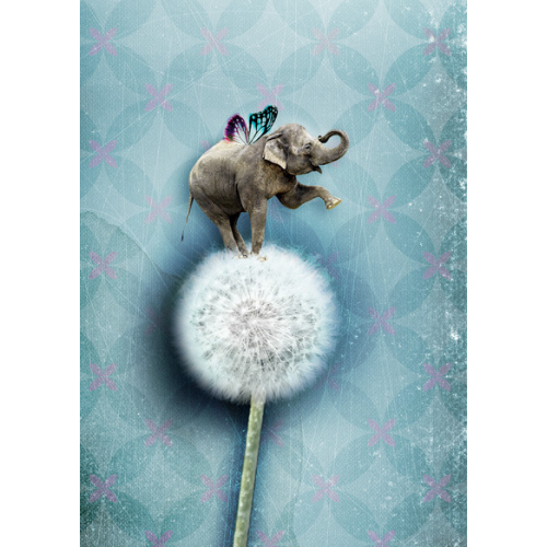 მისალოცი ბარათი სხვადასხვანაირი