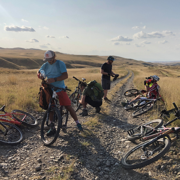 ველო თავგადასავალი