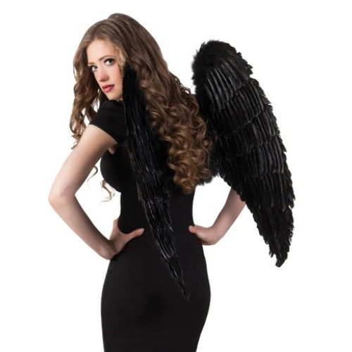 Black wings of an angel (87 x72 cm)