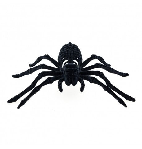 დეკორაცია შავი ობობას ჩონჩხი 22CM X 13CM