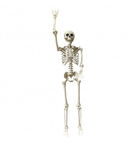 მოძრავი დეკორაცია SKELETON 212 სმ