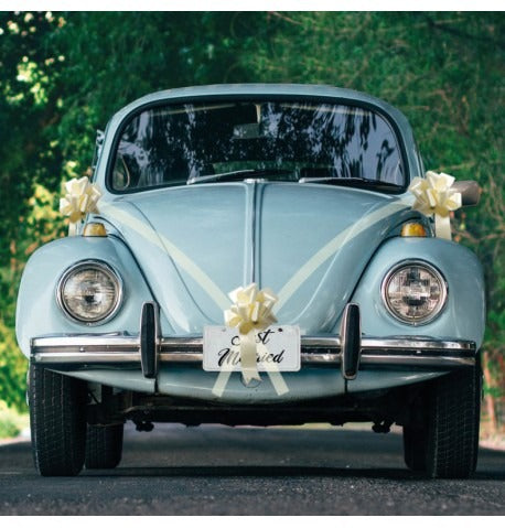 Wedding car bow 5 pcs of different colors