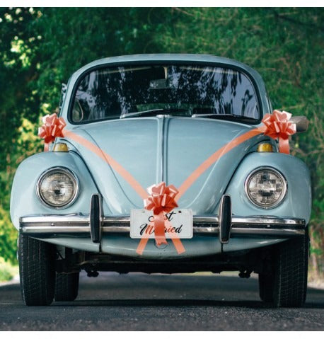 Wedding car bow 5 pcs of different colors