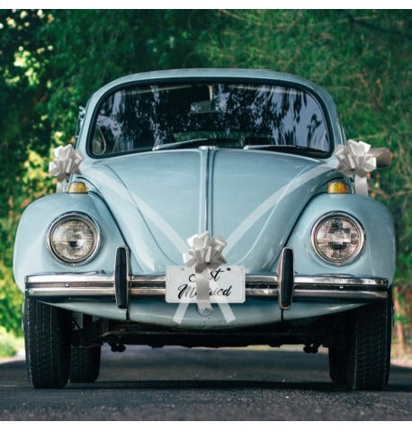 Wedding car set with 5 different color bows