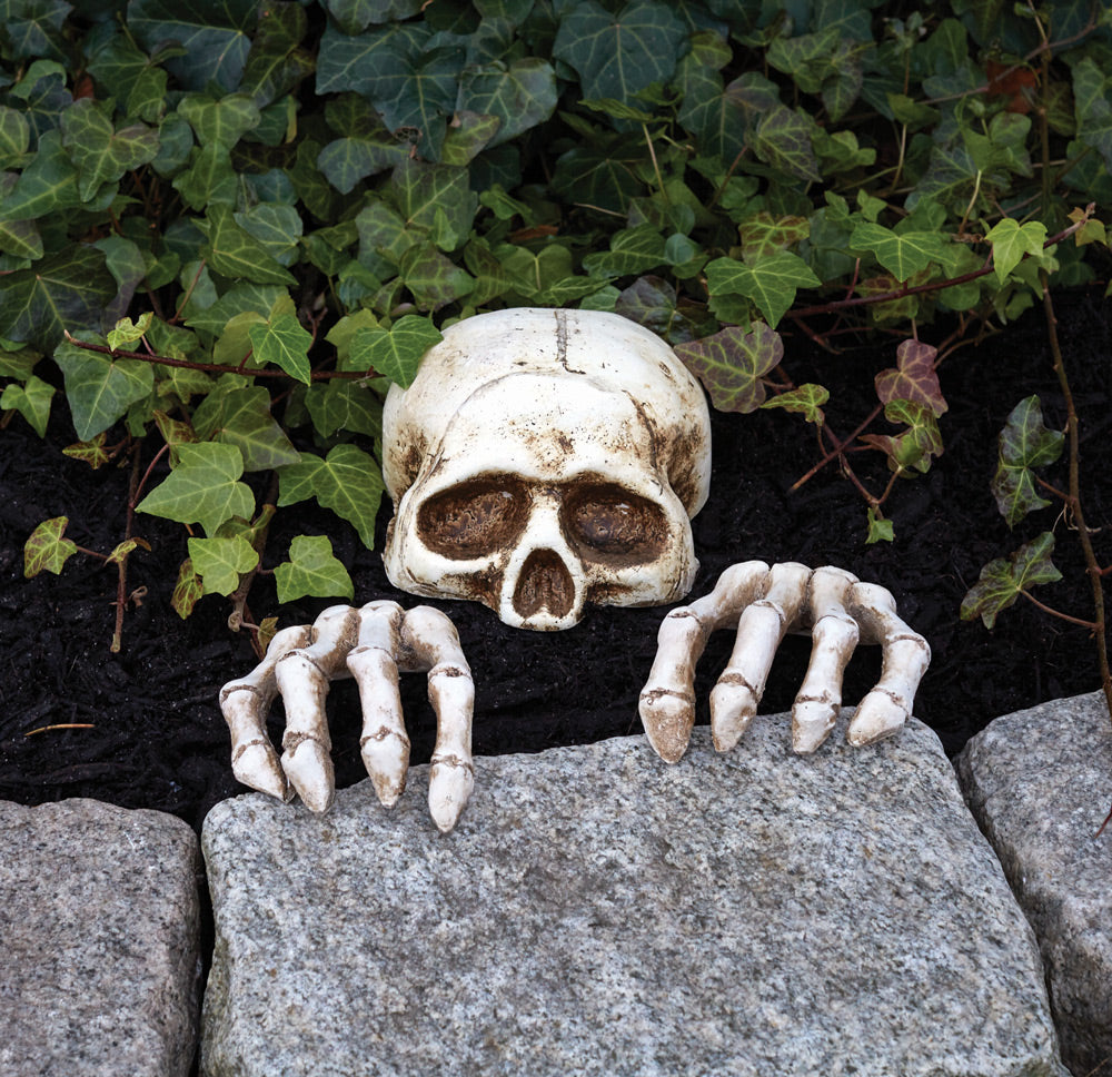 Decoration Skele-Peeper (skull and hands)