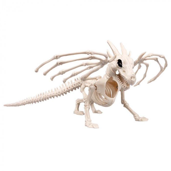 Dragon skeleton 37 cm
