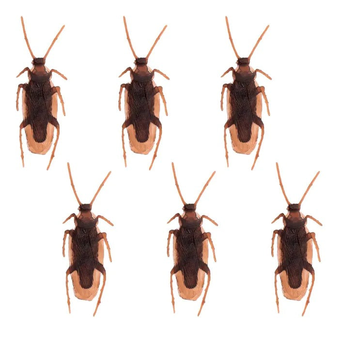 Cockroach 6 pcs 2.5 x 7.5 cm