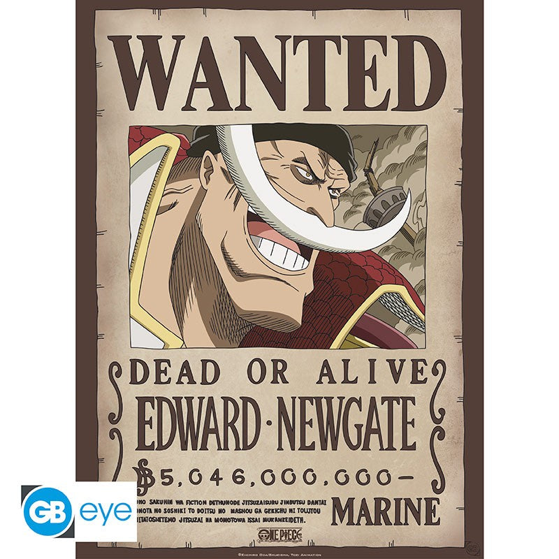 ONE PIECE - poster "Wanted Whitebeard" 52x38 cm