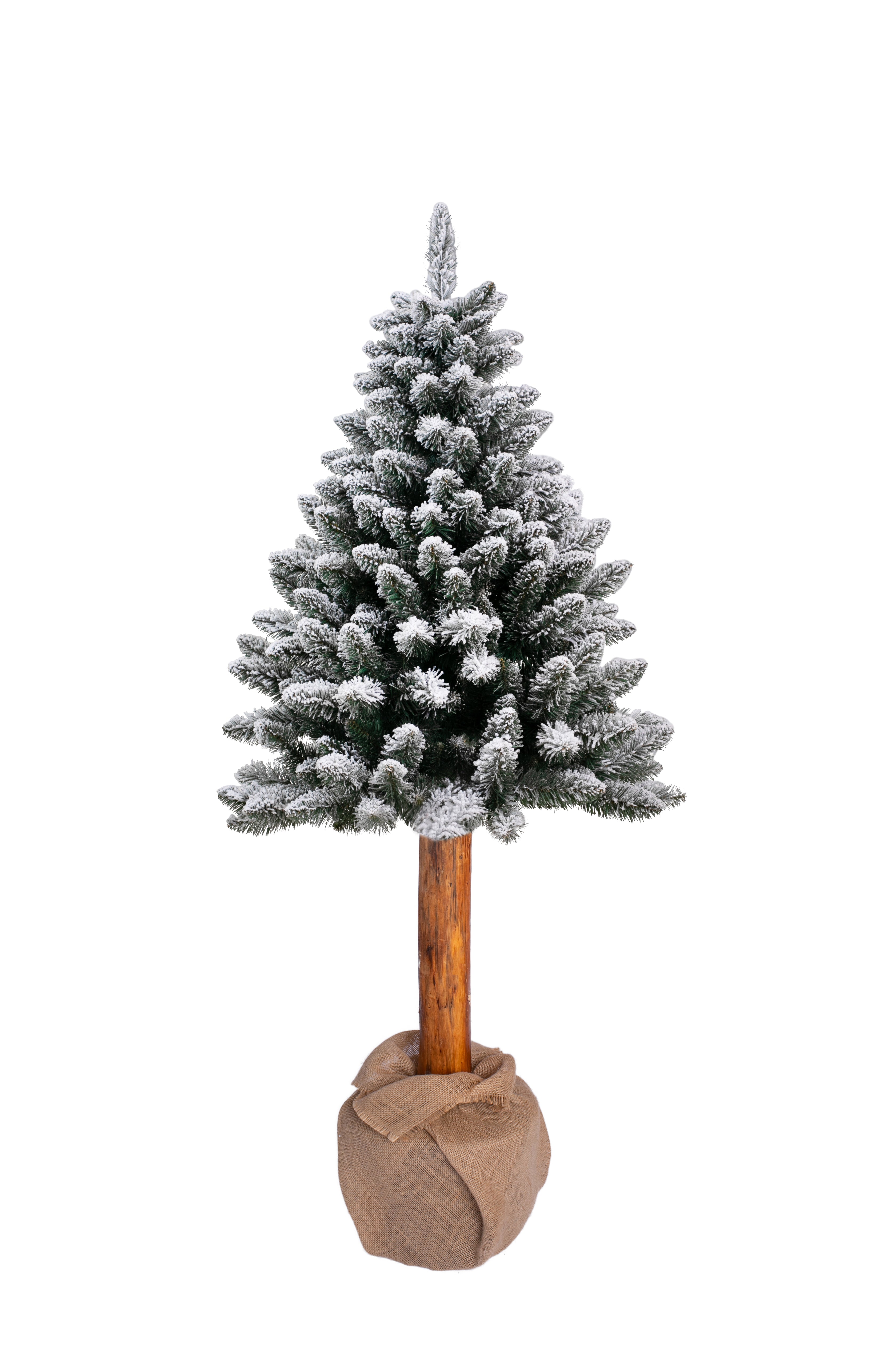 Christmas tree Pinus snow 140 cm