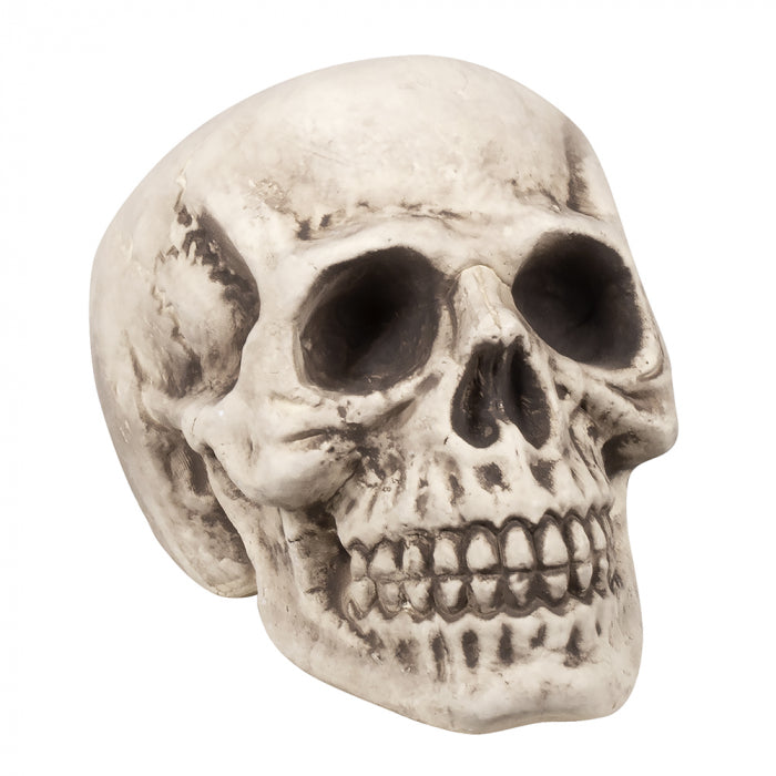 Skull Big head (23 x 22 x 31 cm)