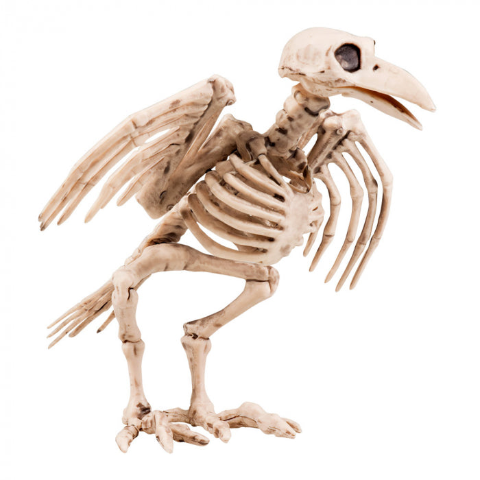 Decoration raven skeleton 18 cm