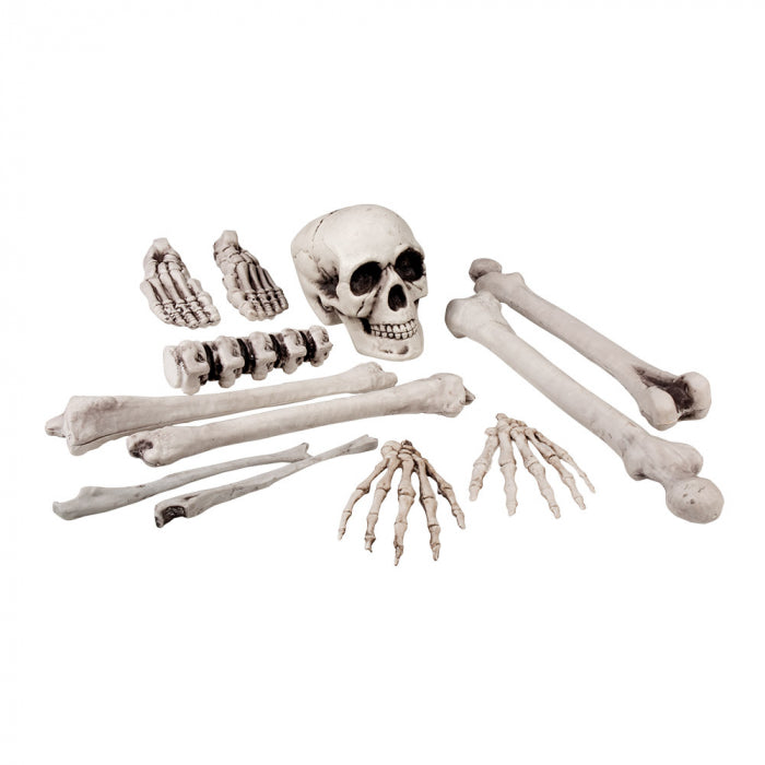 Set of 12 skulls and bones