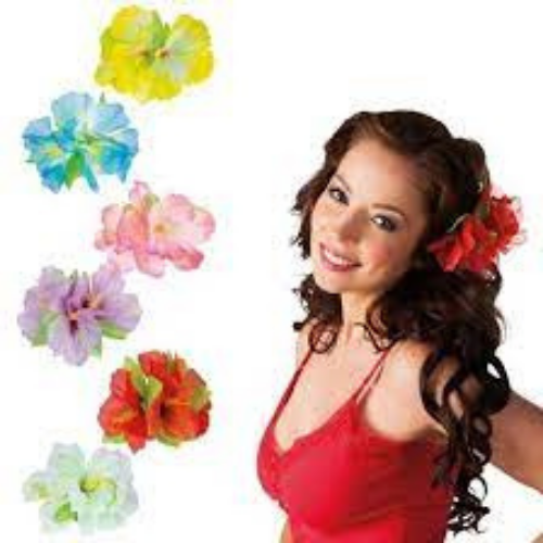 Hair accessory Hibiscus Hair clip Hibiscus different colors
