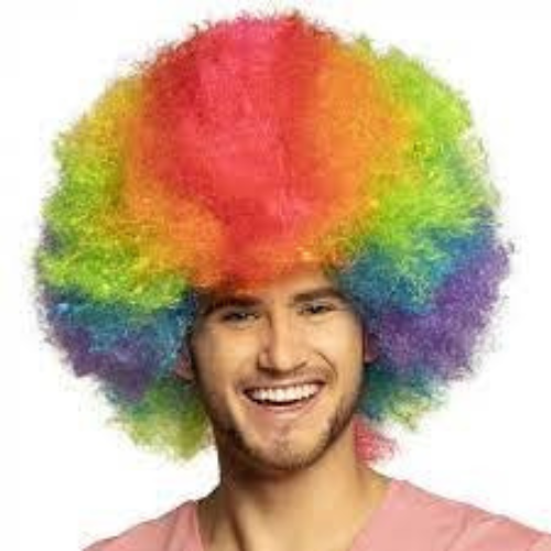 Clown Wig Rainbow Deluxe